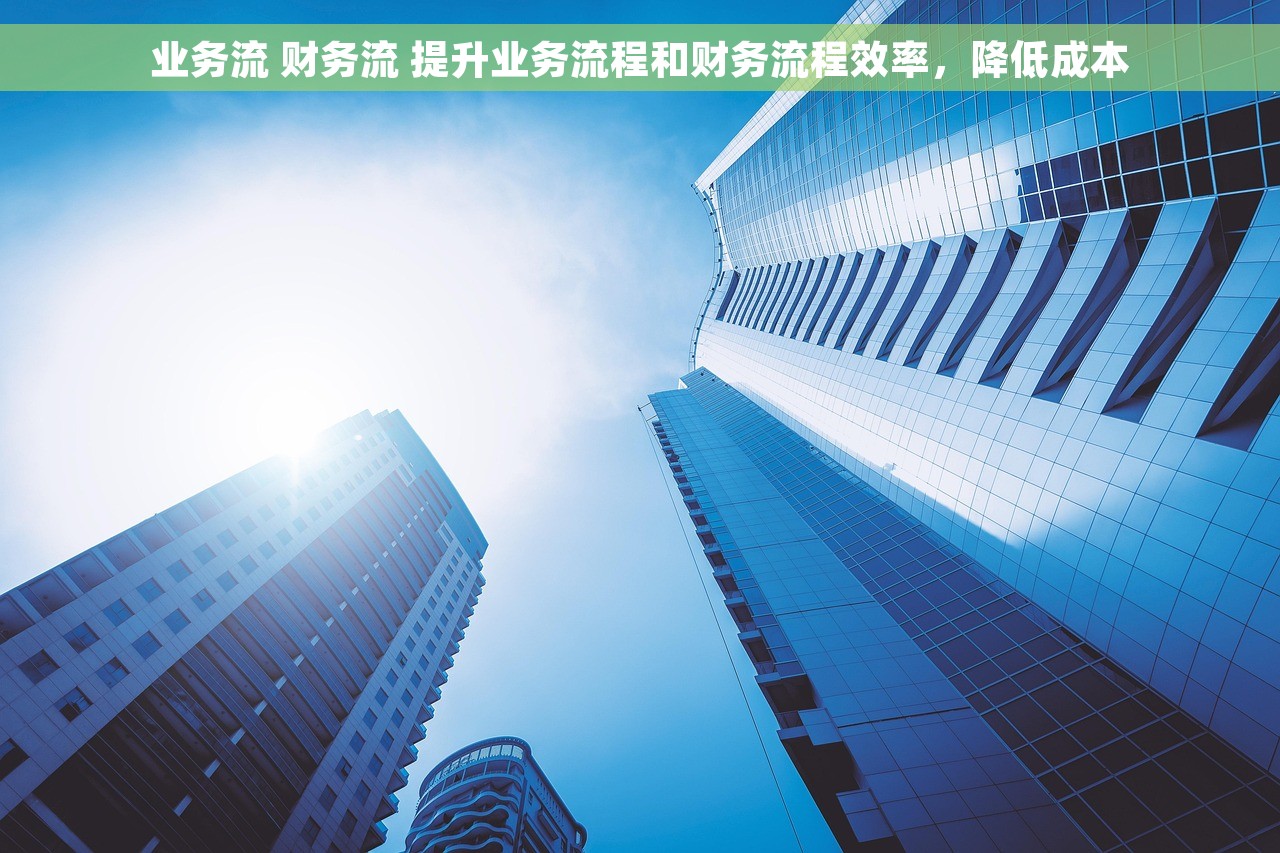 业务流 财务流 提升业务流程和财务流程效率，降低成本