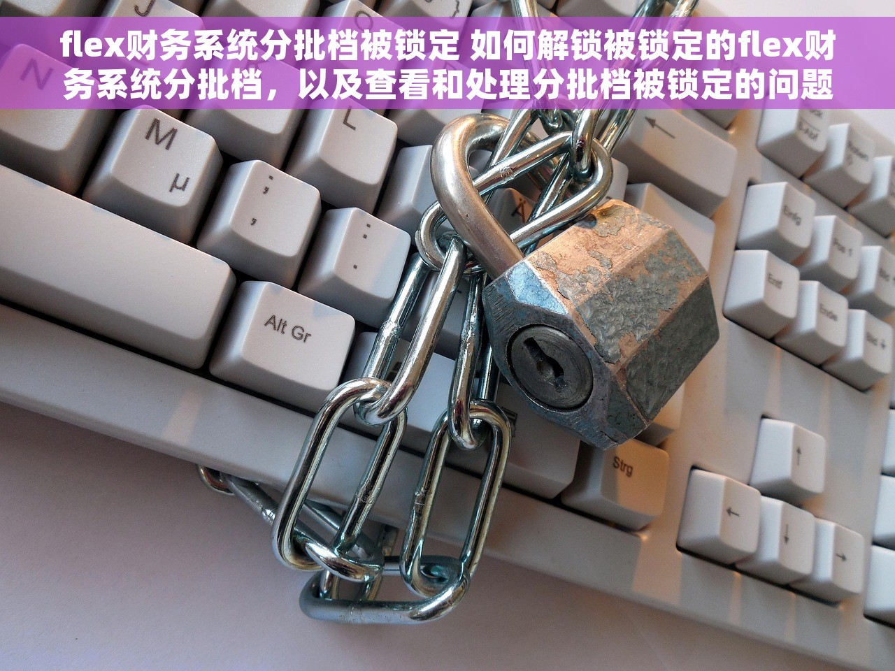 flex财务系统分批档被锁定 如何解锁被锁定的flex财务系统分批档，以及查看和处理分批档被锁定的问题