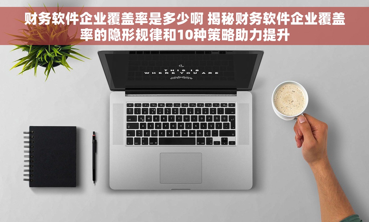 财务软件企业覆盖率是多少啊 揭秘财务软件企业覆盖率的隐形规律和10种策略助力提升