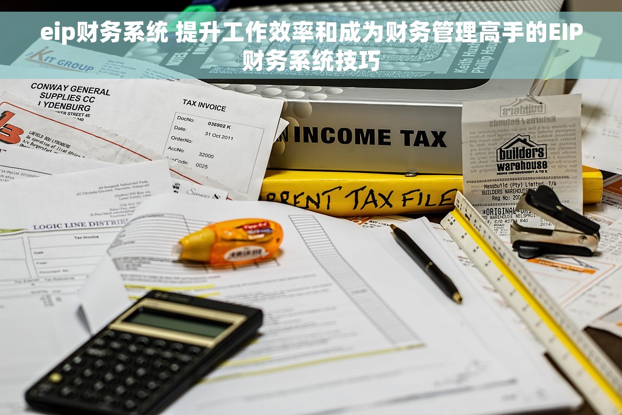 eip财务系统 提升工作效率和成为财务管理高手的EIP财务系统技巧