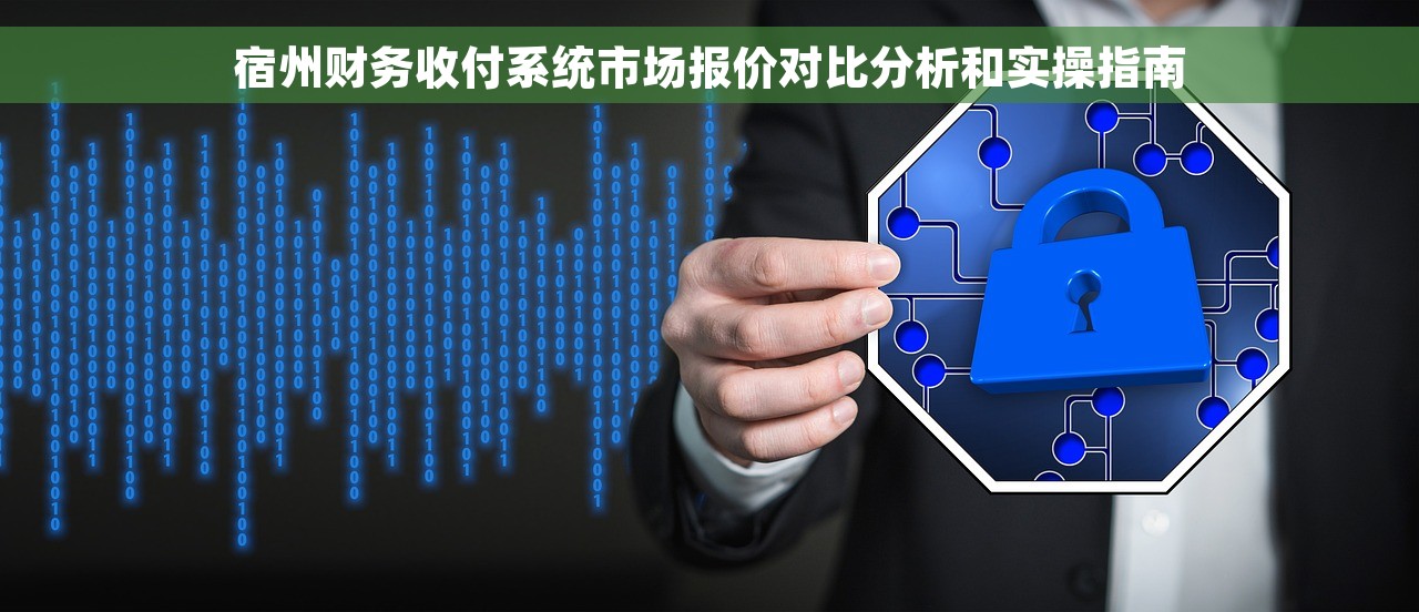 宿州财务收付系统市场报价对比分析和实操指南