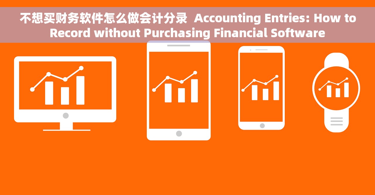 不想买财务软件怎么做会计分录  Accounting Entries: How to Record without Purchasing Financial Software 
