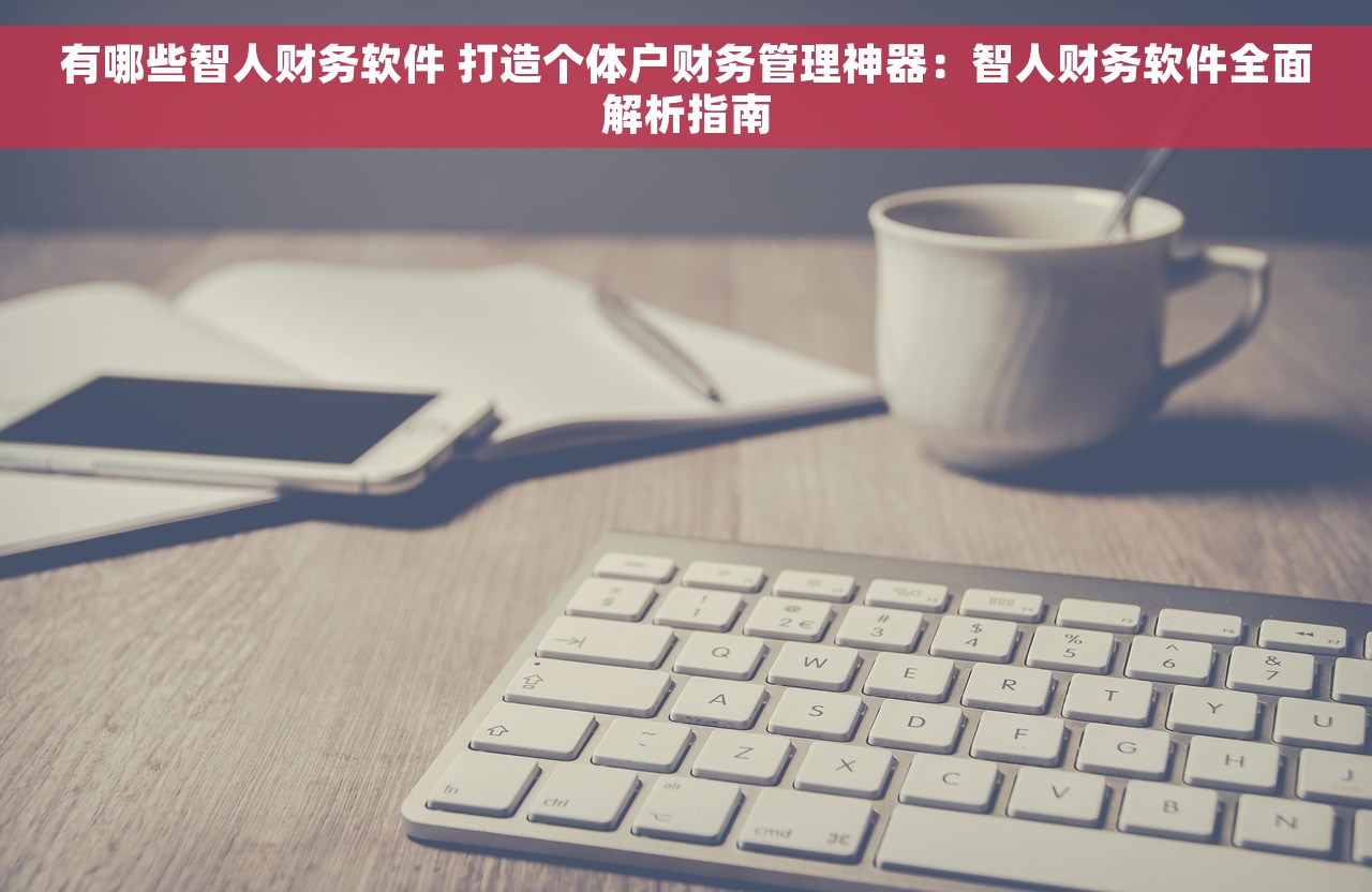 有哪些智人财务软件 打造个体户财务管理神器：智人财务软件全面解析指南