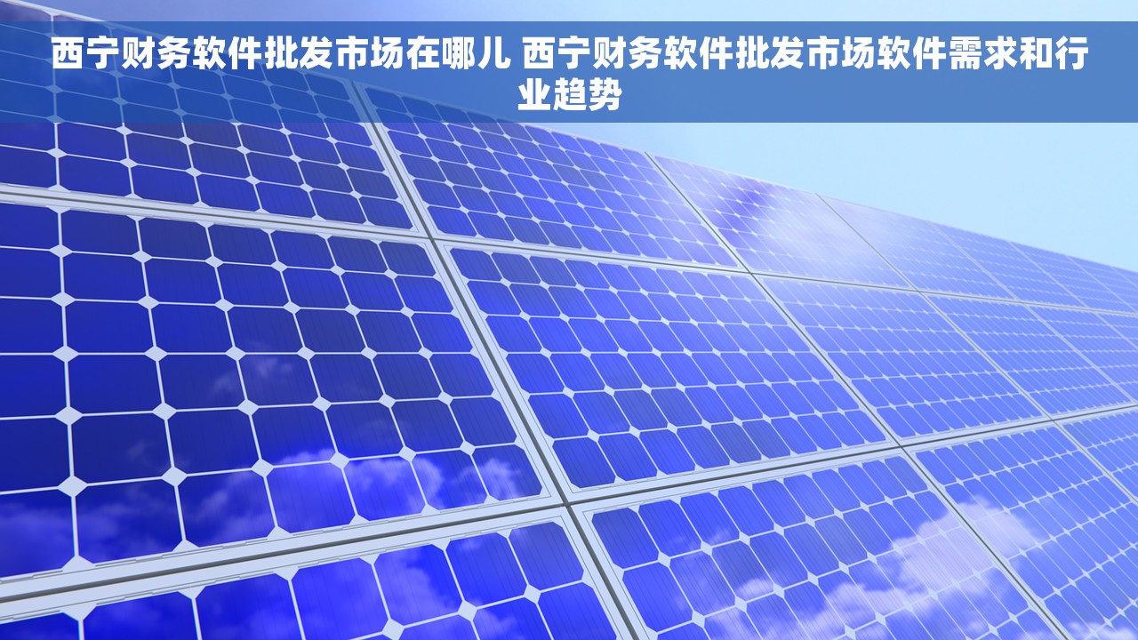 西宁财务软件批发市场在哪儿 西宁财务软件批发市场软件需求和行业趋势