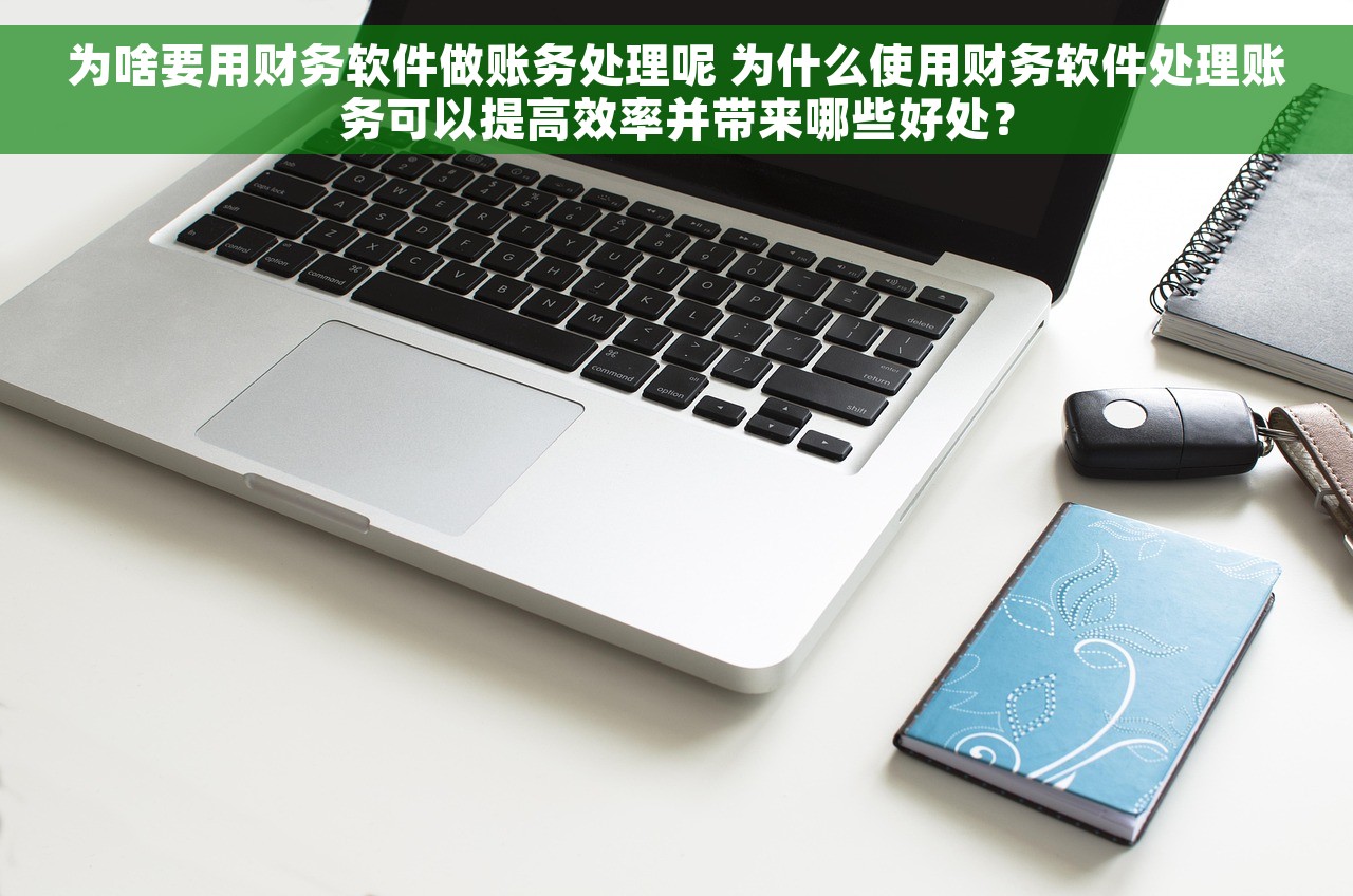 为啥要用财务软件做账务处理呢 为什么使用财务软件处理账务可以提高效率并带来哪些好处？