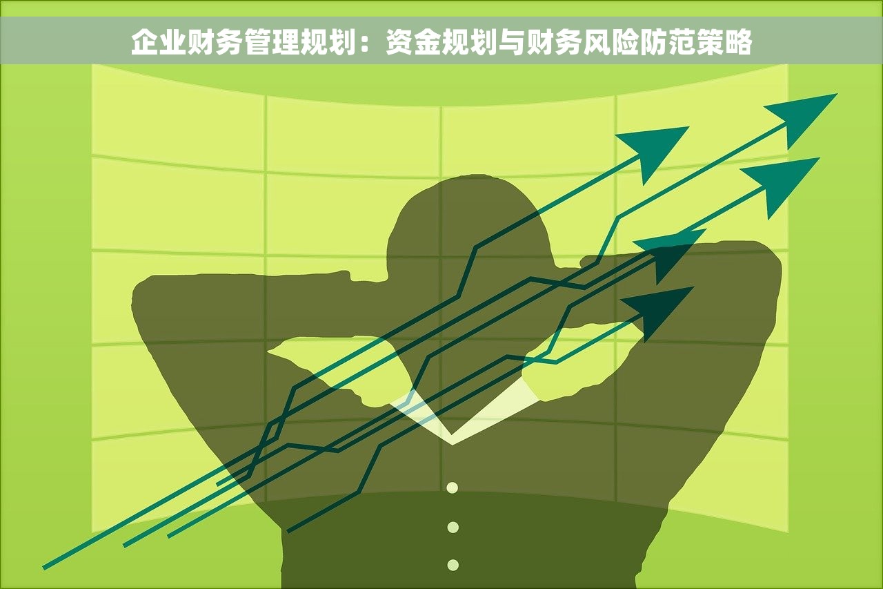 企业财务管理规划：资金规划与财务风险防范策略