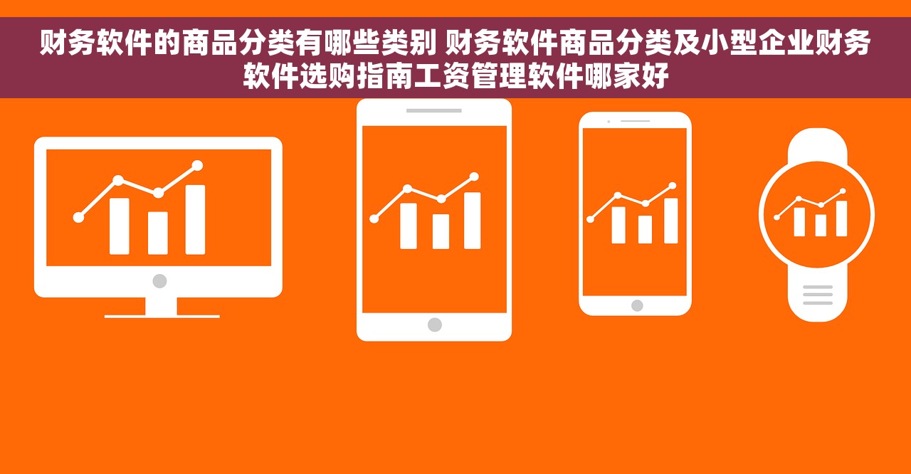 财务软件的商品分类有哪些类别 财务软件商品分类及小型企业财务软件选购指南工资管理软件哪家好