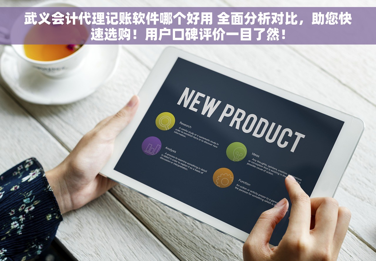 武义会计代理记账软件哪个好用 全面分析对比，助您快速选购！用户口碑评价一目了然！
