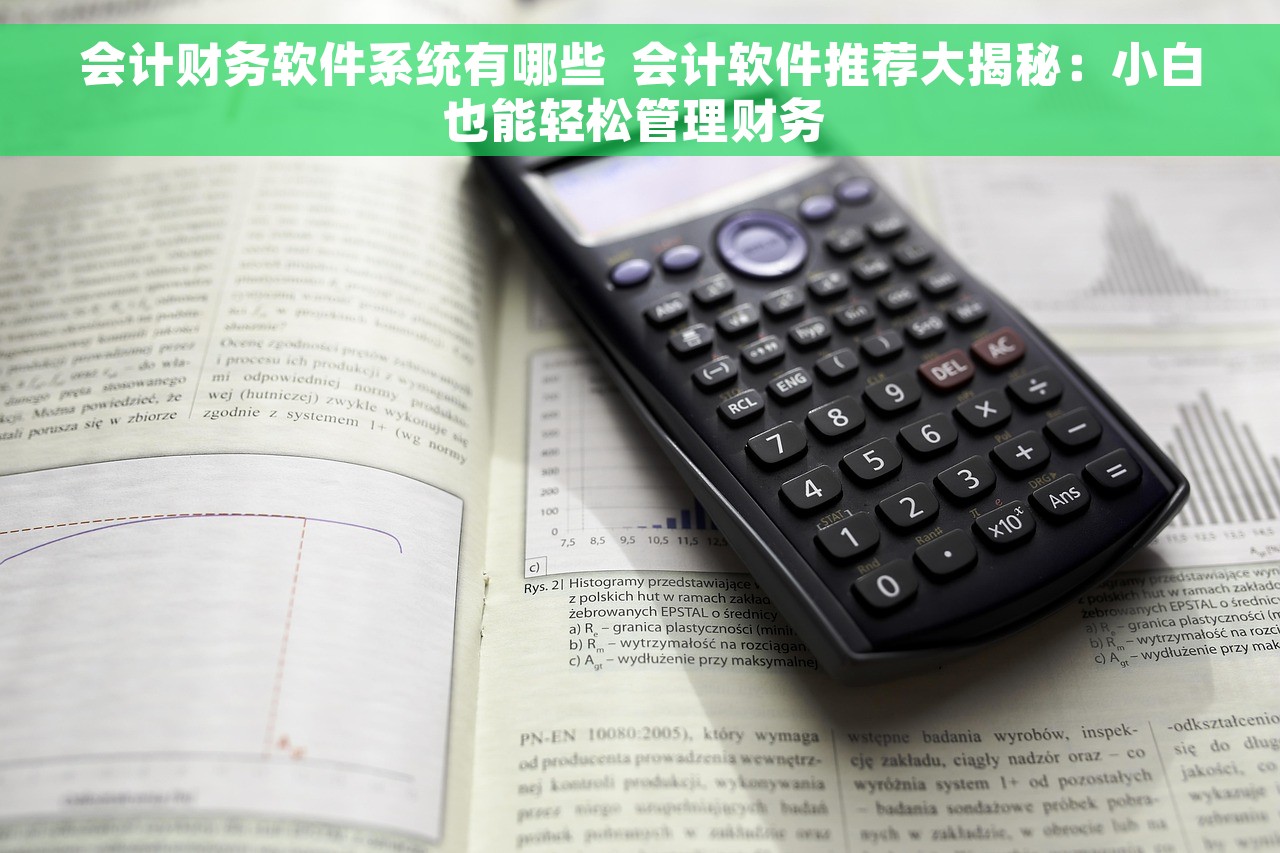 会计财务软件系统有哪些  会计软件推荐大揭秘：小白也能轻松管理财务 