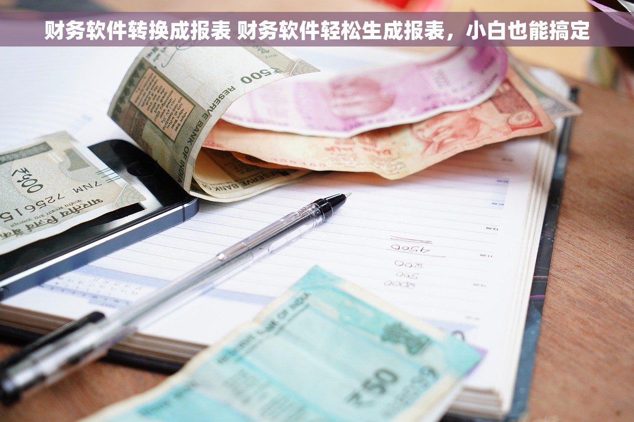 财务软件转换成报表 财务软件轻松生成报表，小白也能搞定