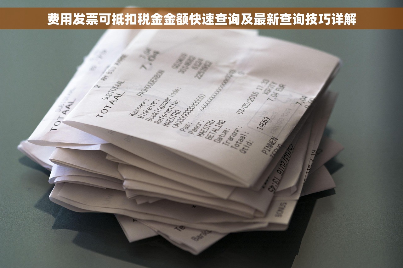 费用发票可抵扣税金金额快速查询及最新查询技巧详解