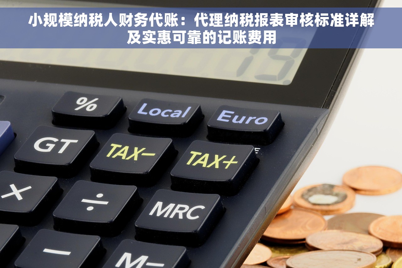 小规模纳税人财务代账：代理纳税报表审核标准详解及实惠可靠的记账费用