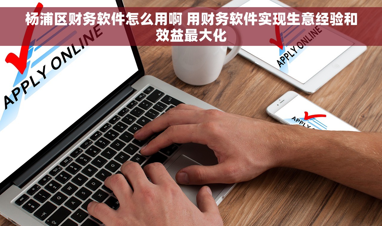杨浦区财务软件怎么用啊 用财务软件实现生意经验和效益最大化