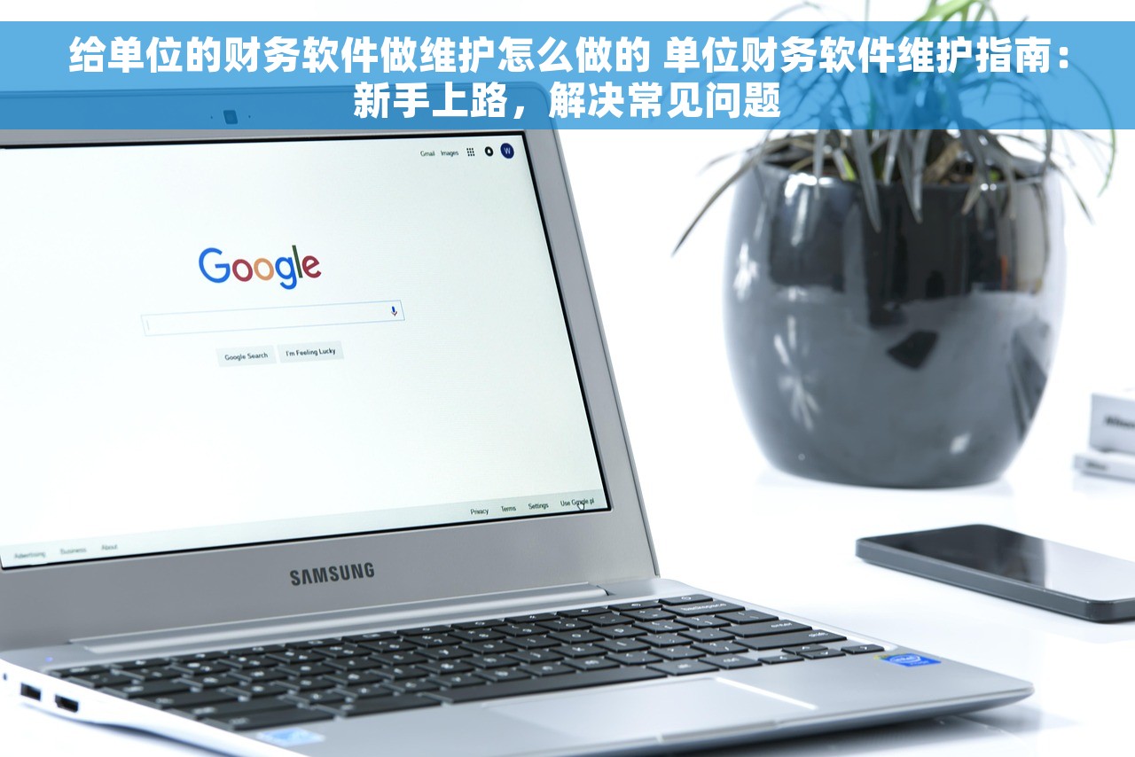 给单位的财务软件做维护怎么做的 单位财务软件维护指南：新手上路，解决常见问题