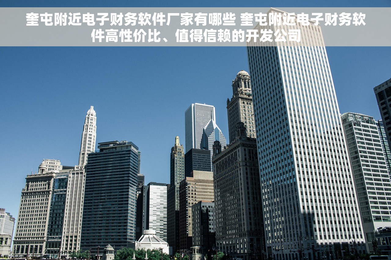 奎屯附近电子财务软件厂家有哪些 奎屯附近电子财务软件高性价比、值得信赖的开发公司