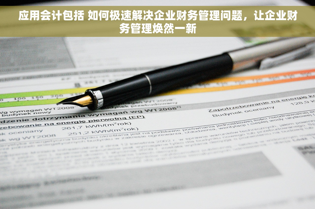 应用会计包括 如何极速解决企业财务管理问题，让企业财务管理焕然一新