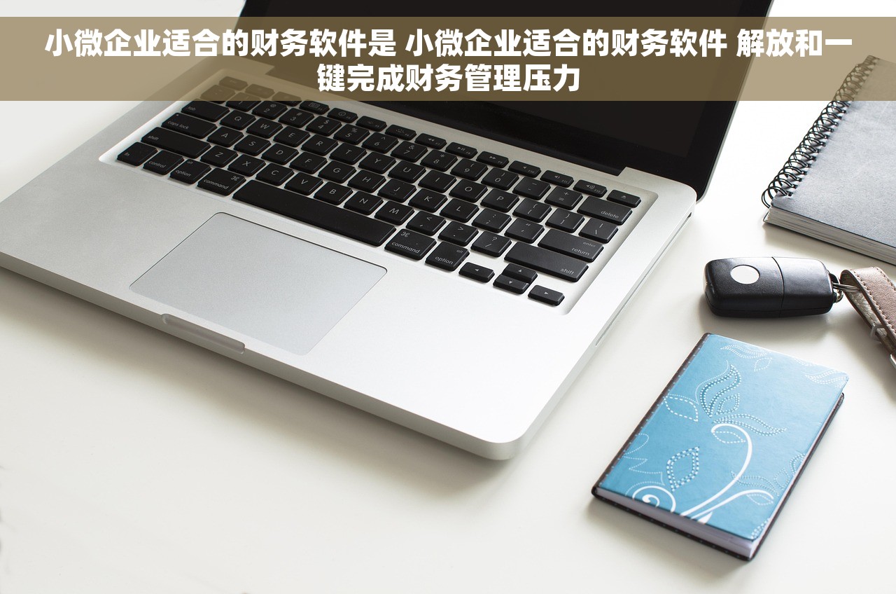 小微企业适合的财务软件是 小微企业适合的财务软件 解放和一键完成财务管理压力