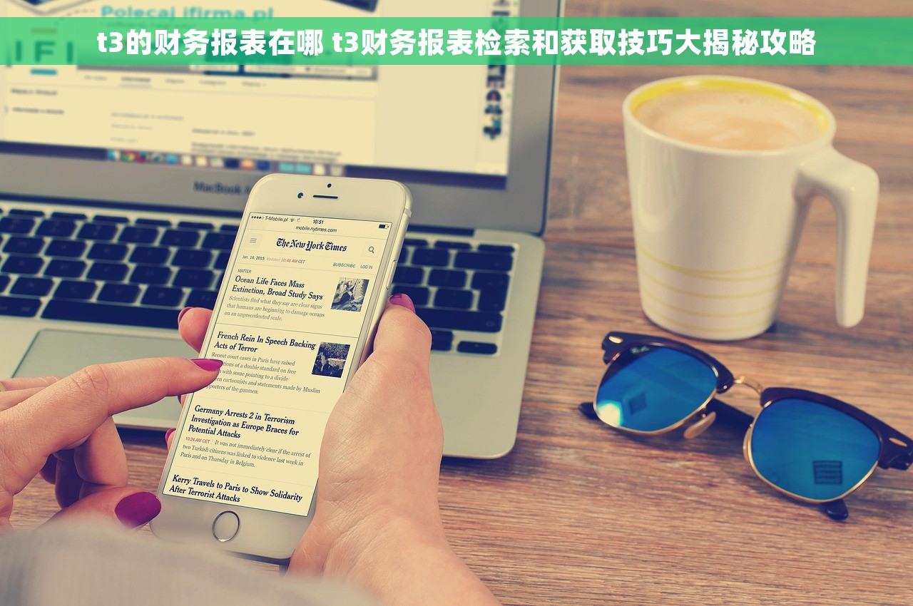 t3的财务报表在哪 t3财务报表检索和获取技巧大揭秘攻略