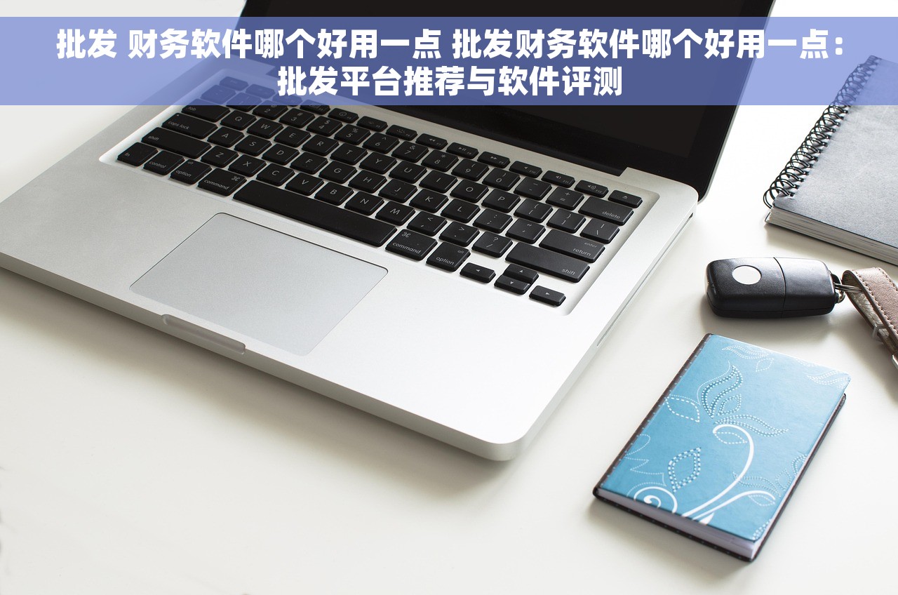 批发 财务软件哪个好用一点 批发财务软件哪个好用一点：批发平台推荐与软件评测
