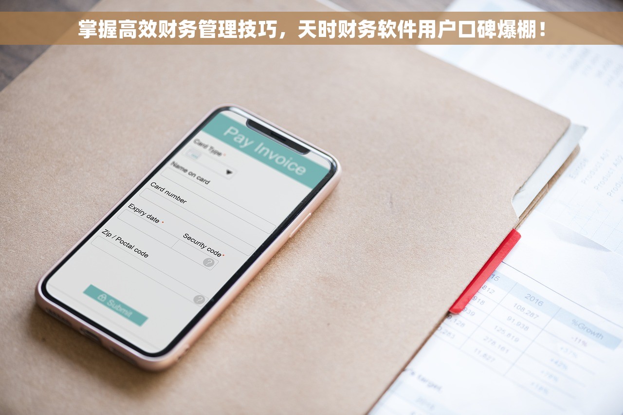 掌握高效财务管理技巧，天时财务软件用户口碑爆棚！
