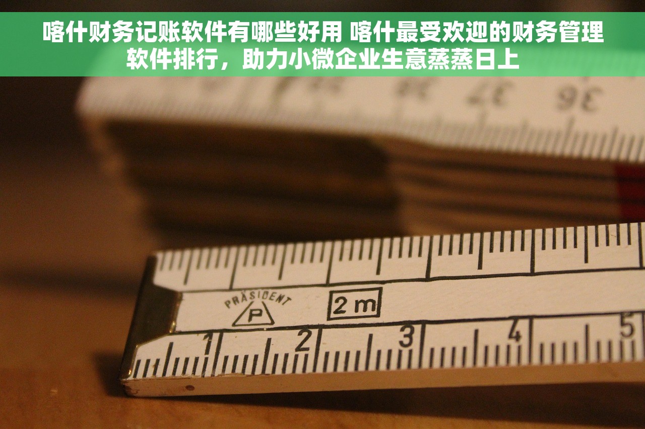 喀什财务记账软件有哪些好用 喀什最受欢迎的财务管理软件排行，助力小微企业生意蒸蒸日上