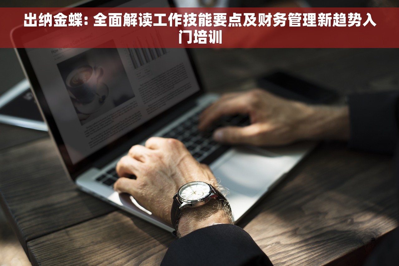 出纳金蝶: 全面解读工作技能要点及财务管理新趋势入门培训