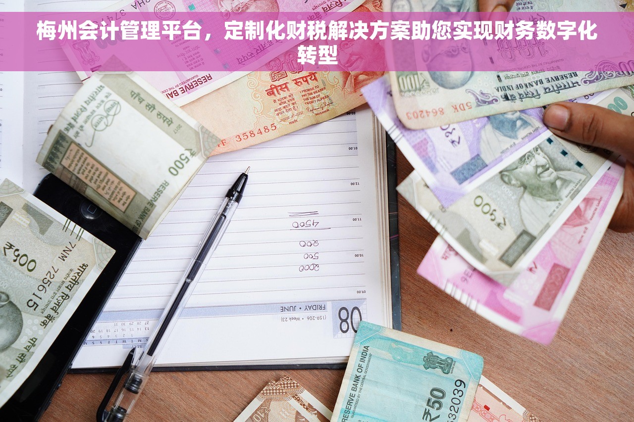梅州会计管理平台，定制化财税解决方案助您实现财务数字化转型