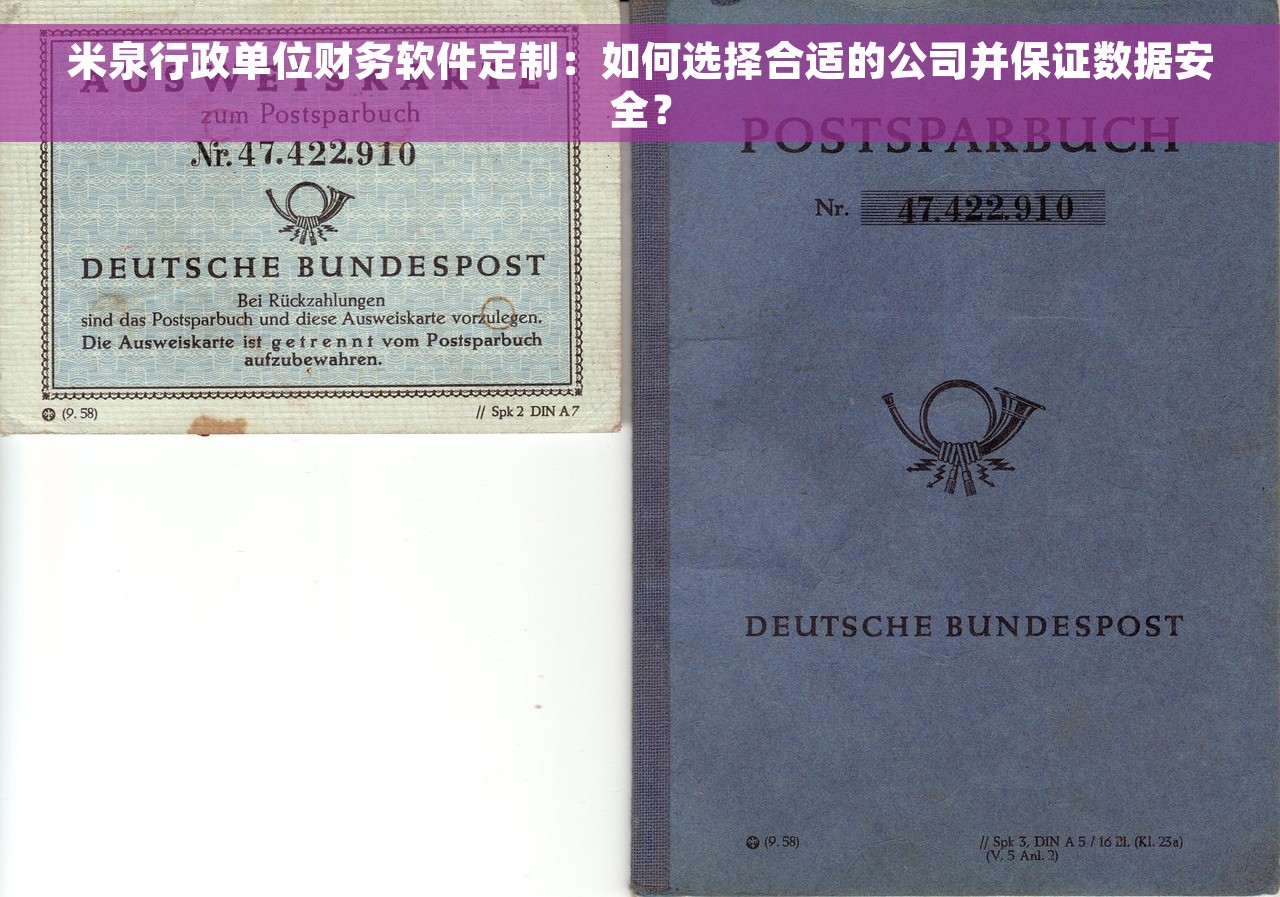 米泉行政单位财务软件定制：如何选择合适的公司并保证数据安全？