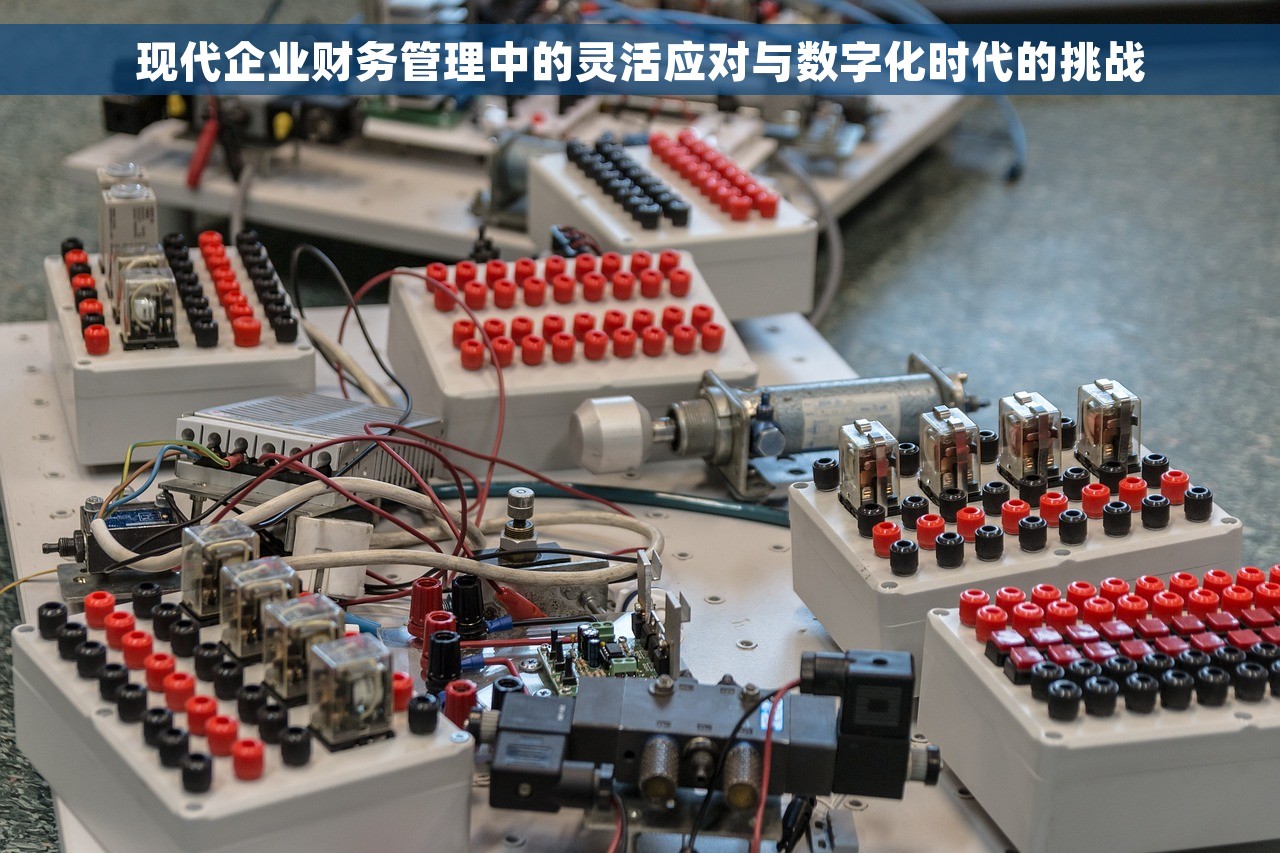 现代企业财务管理中的灵活应对与数字化时代的挑战