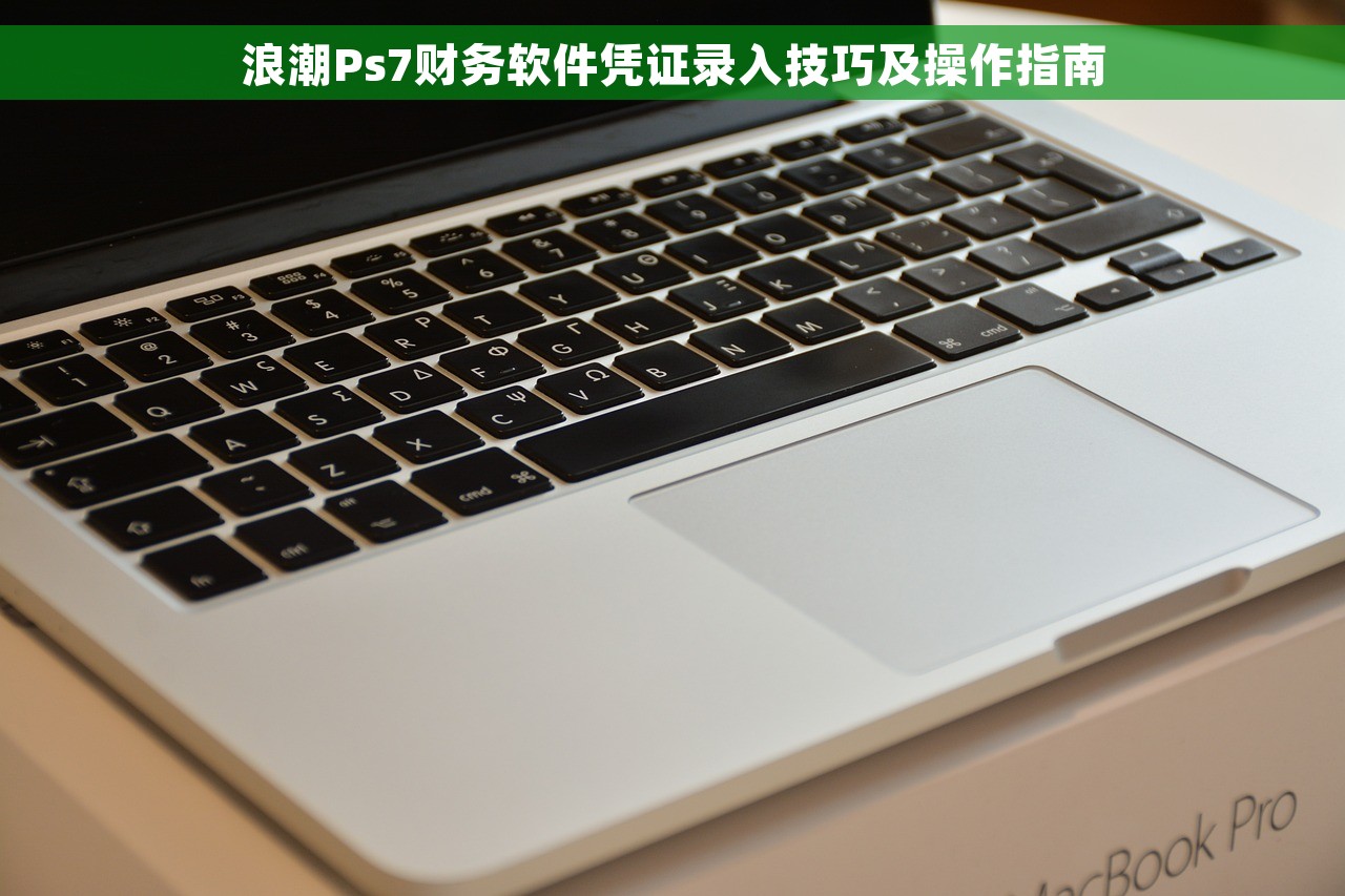 浪潮Ps7财务软件凭证录入技巧及操作指南