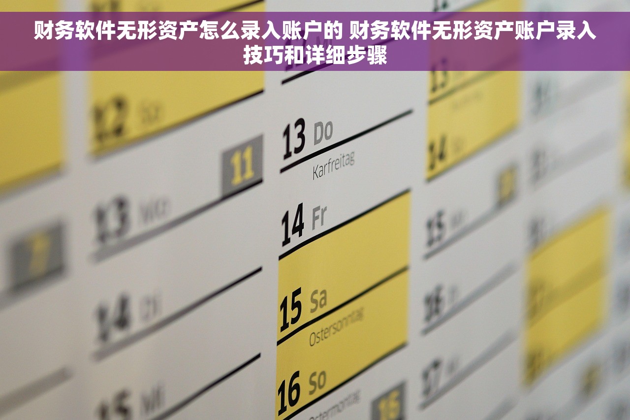 财务软件无形资产怎么录入账户的 财务软件无形资产账户录入技巧和详细步骤