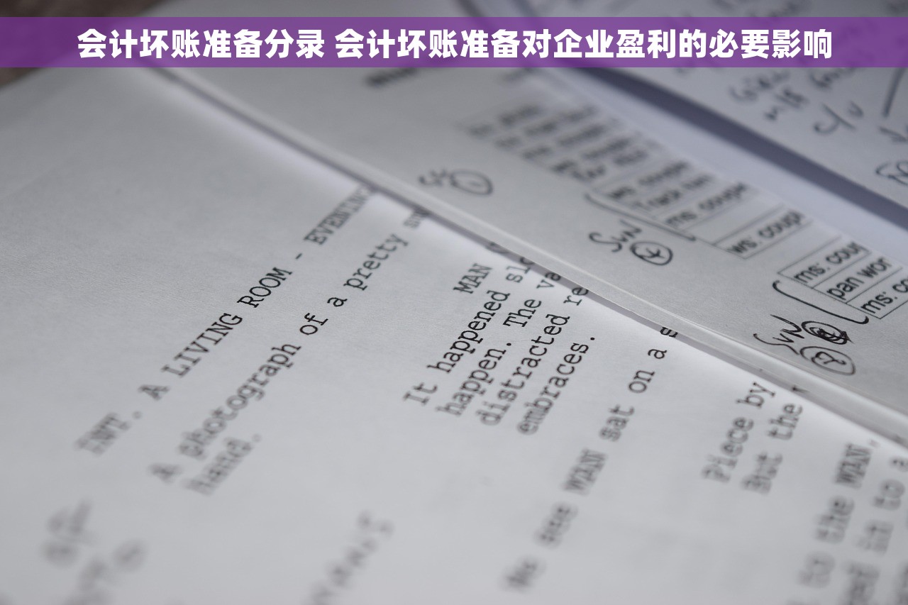 会计坏账准备分录 会计坏账准备对企业盈利的必要影响