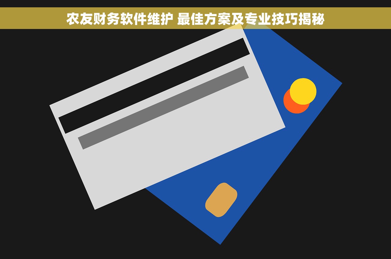 农友财务软件维护 最佳方案及专业技巧揭秘