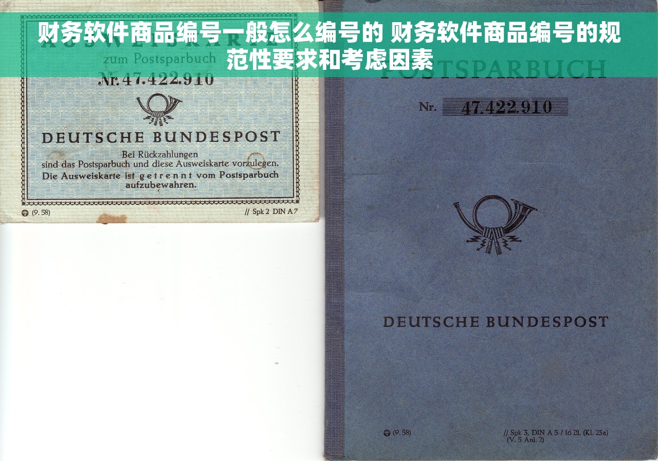 财务软件商品编号一般怎么编号的 财务软件商品编号的规范性要求和考虑因素