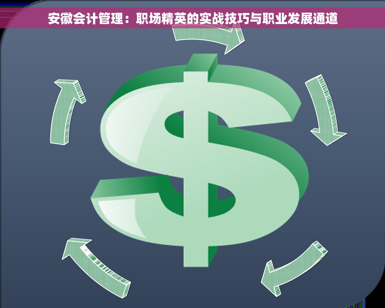 安徽会计管理：职场精英的实战技巧与职业发展通道