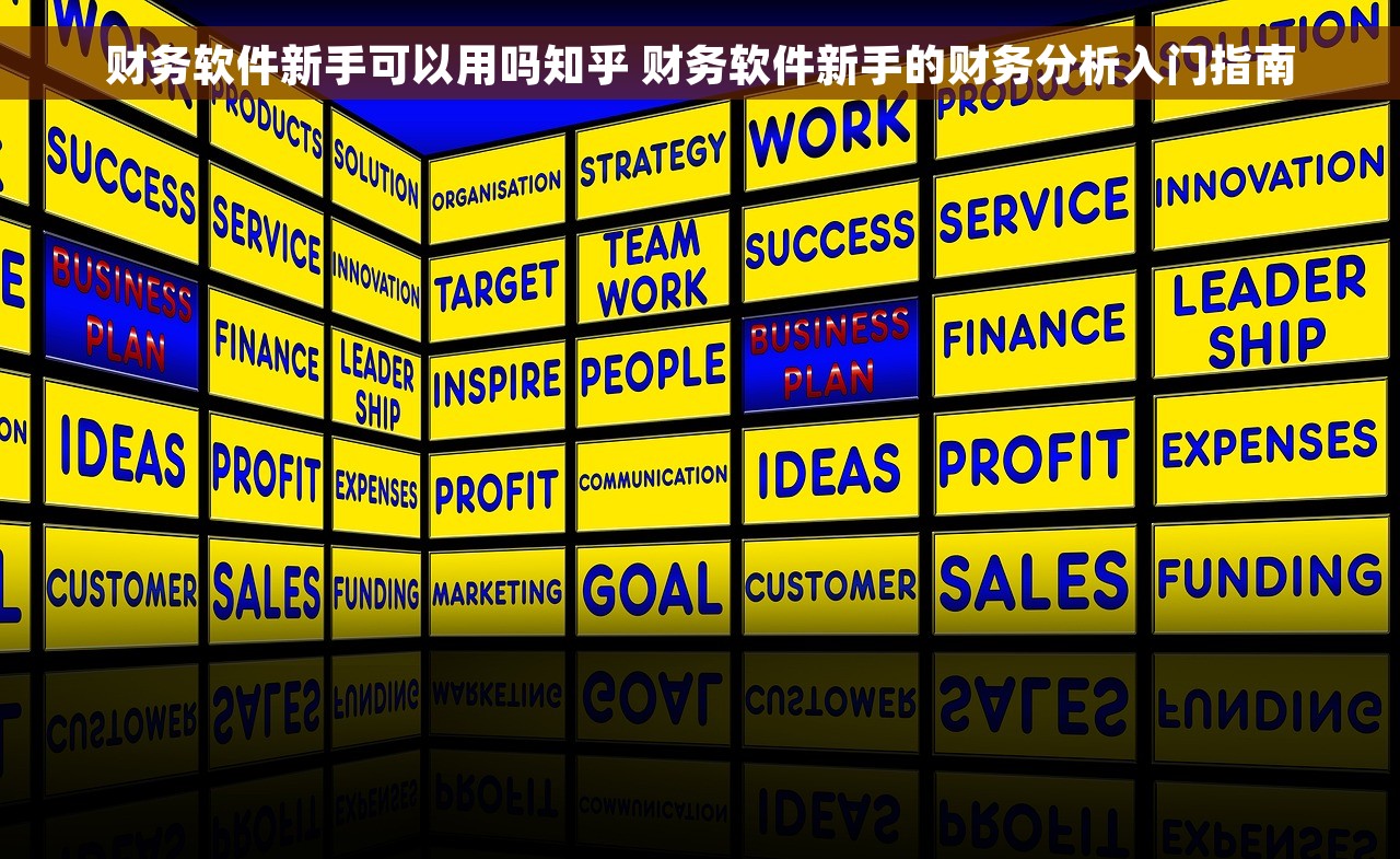财务软件新手可以用吗知乎 财务软件新手的财务分析入门指南