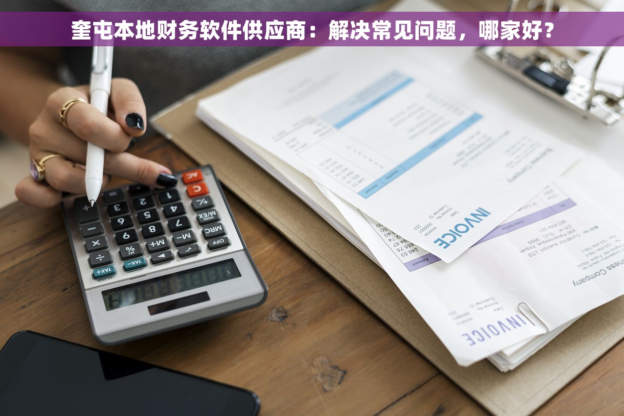 奎屯本地财务软件供应商：解决常见问题，哪家好？