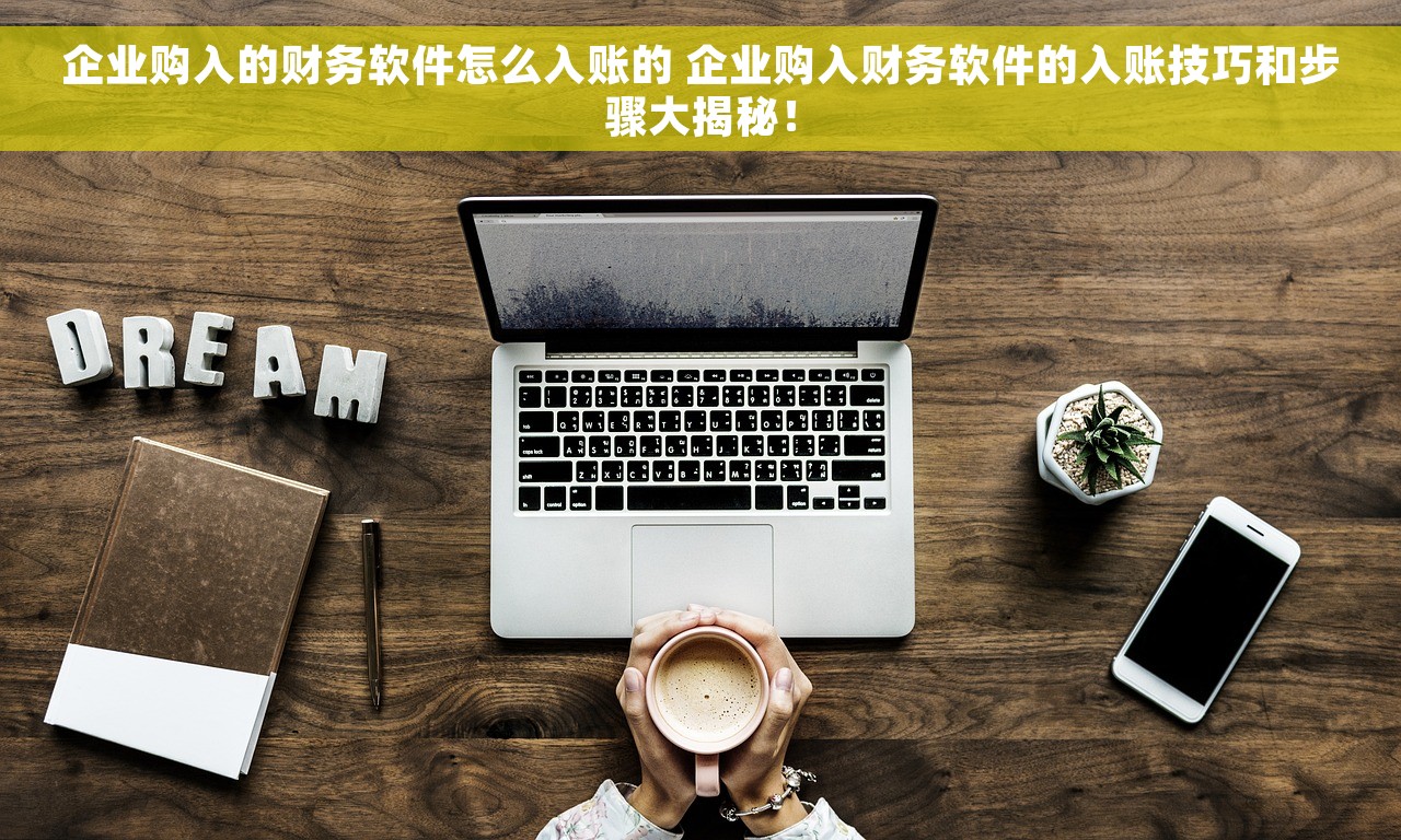 企业购入的财务软件怎么入账的 企业购入财务软件的入账技巧和步骤大揭秘！