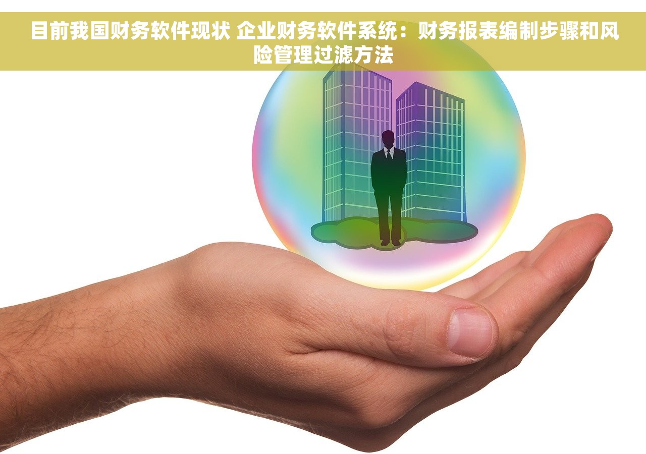 目前我国财务软件现状 企业财务软件系统：财务报表编制步骤和风险管理过滤方法