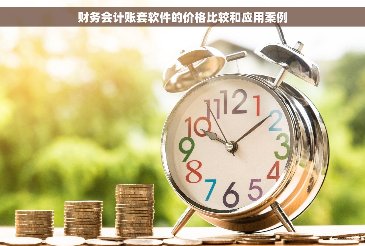 财务会计账套软件的价格比较和应用案例