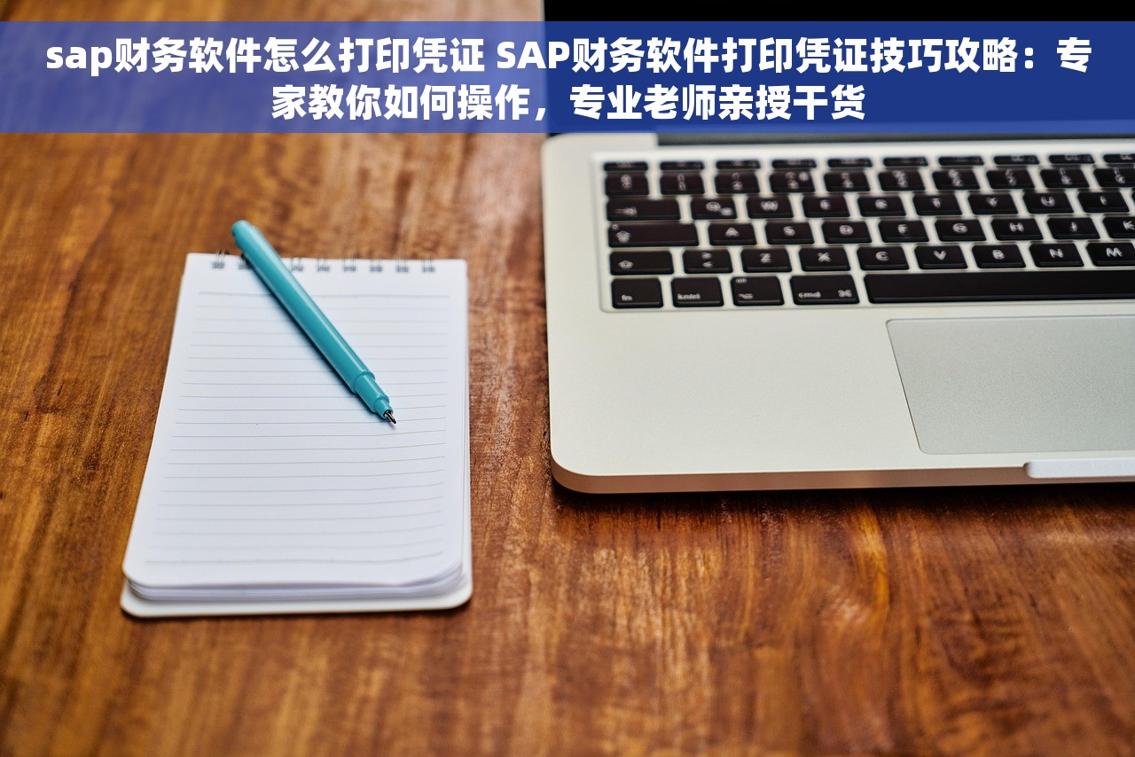 sap财务软件怎么打印凭证 SAP财务软件打印凭证技巧攻略：专家教你如何操作，专业老师亲授干货
