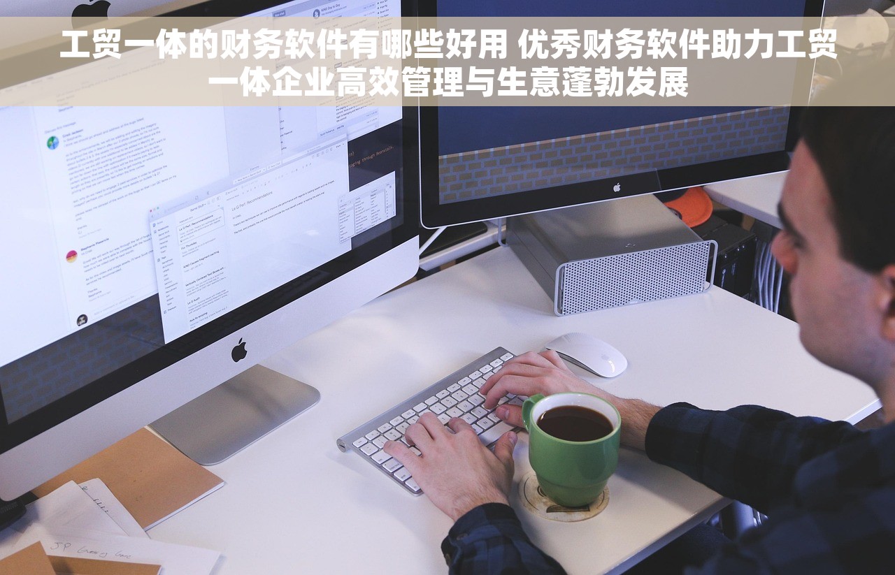 工贸一体的财务软件有哪些好用 优秀财务软件助力工贸一体企业高效管理与生意蓬勃发展