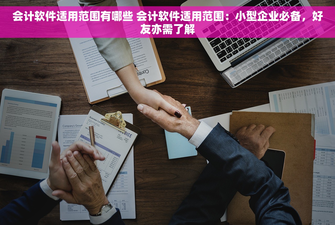 会计软件适用范围有哪些 会计软件适用范围：小型企业必备，好友亦需了解