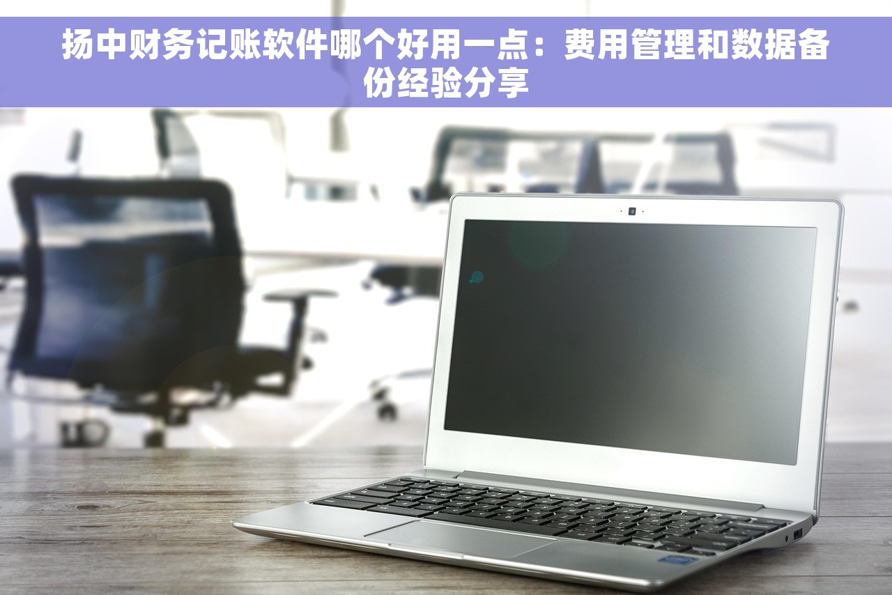 扬中财务记账软件哪个好用一点：费用管理和数据备份经验分享