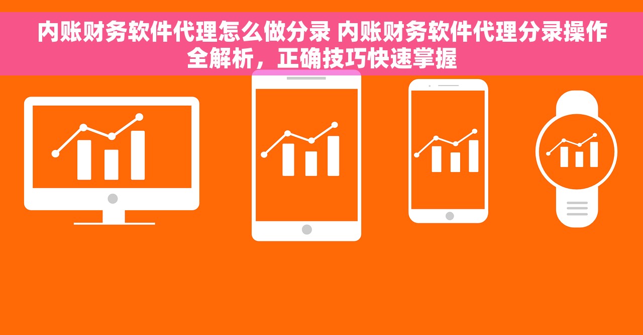 内账财务软件代理怎么做分录 内账财务软件代理分录操作全解析，正确技巧快速掌握
