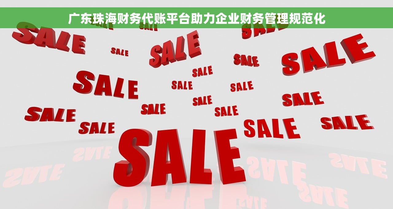 广东珠海财务代账平台助力企业财务管理规范化
