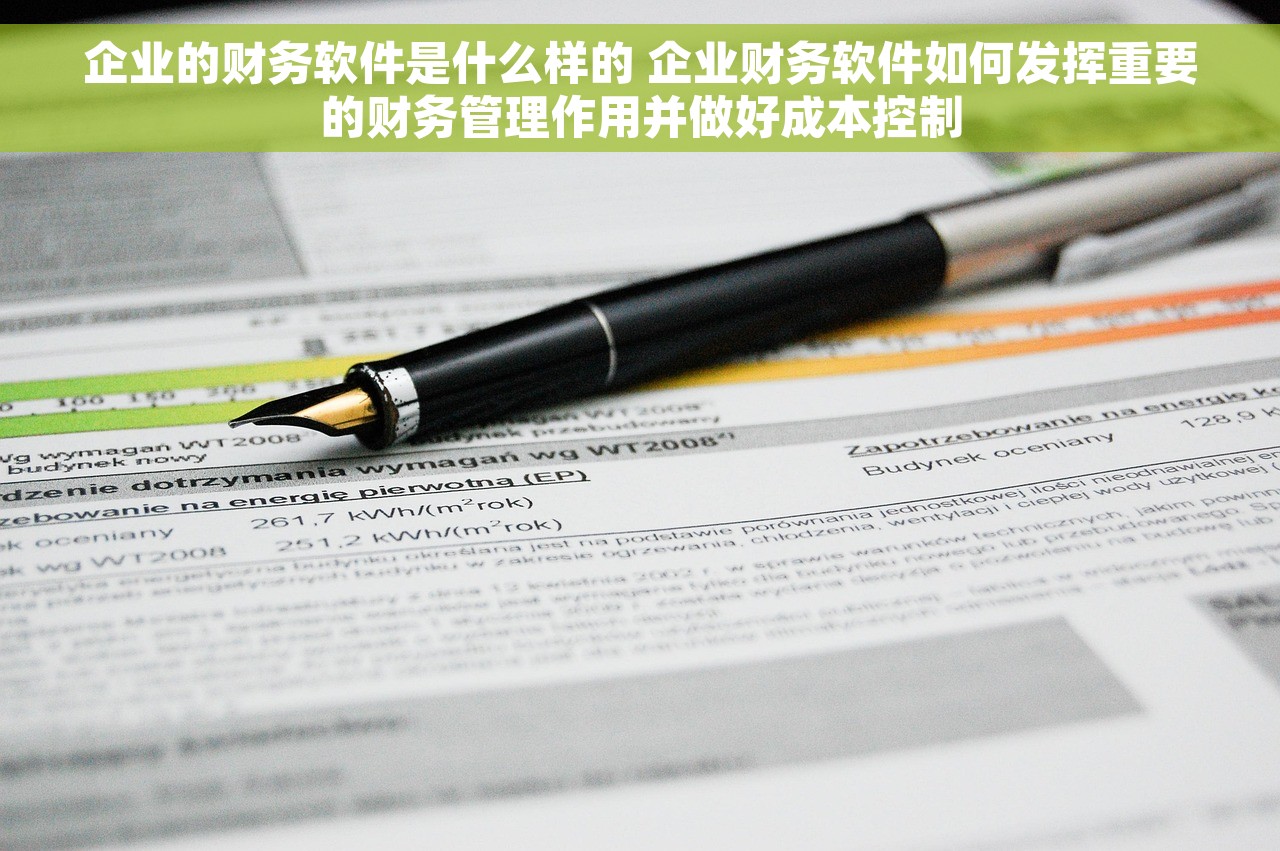 企业的财务软件是什么样的 企业财务软件如何发挥重要的财务管理作用并做好成本控制