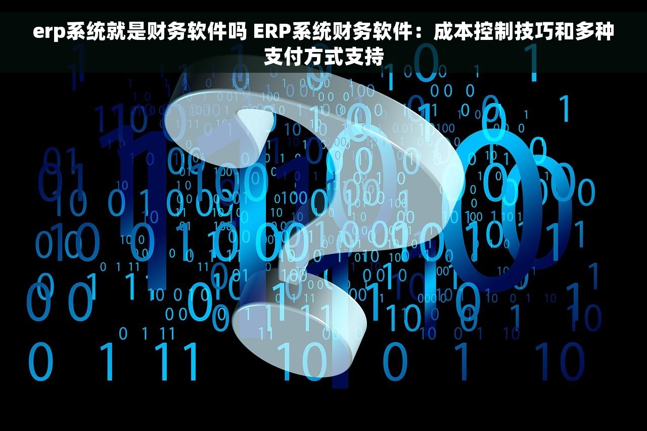 erp系统就是财务软件吗 ERP系统财务软件：成本控制技巧和多种支付方式支持