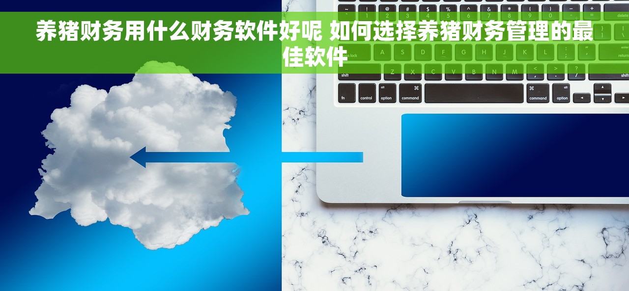 养猪财务用什么财务软件好呢 如何选择养猪财务管理的最佳软件
