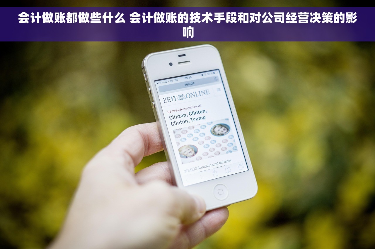 会计做账都做些什么 会计做账的技术手段和对公司经营决策的影响